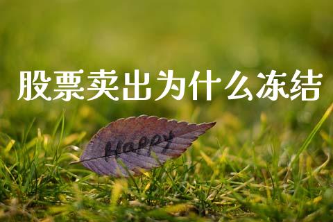 股票卖出为什么冻结_https://cj006.lansai.wang_金融监管_第1张