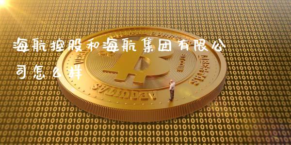 海航控股和海航集团有限公司怎么样_https://cj006.lansai.wang_金融监管_第1张