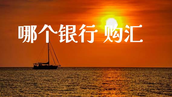 哪个银行 购汇_https://cj006.lansai.wang_全球市场_第1张