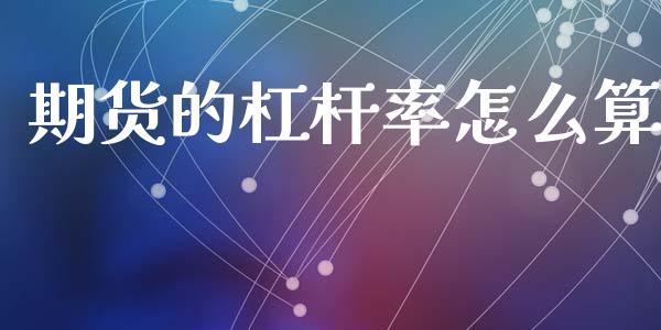 期货的杠杆率怎么算_https://cj006.lansai.wang_金融监管_第1张