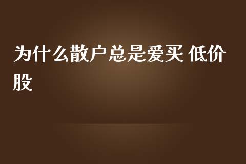 为什么散户总是爱买 低价股_https://cj006.lansai.wang_外汇交易_第1张
