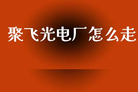 聚飞光电厂怎么走_https://cj006.lansai.wang_金融监管_第1张