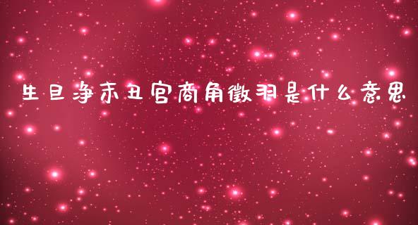 生旦净末丑宫商角徵羽是什么意思_https://cj006.lansai.wang_金融监管_第1张