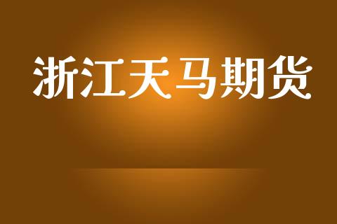 浙江天马期货_https://cj006.lansai.wang_债券资讯_第1张