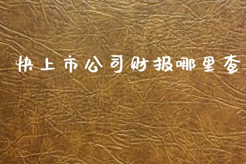 快上市公司财报哪里查_https://cj006.lansai.wang_外汇交易_第1张