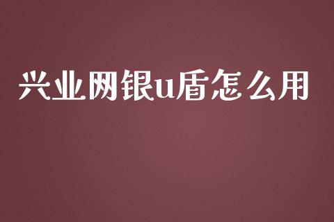 兴业网银u盾怎么用_https://cj006.lansai.wang_金融监管_第1张