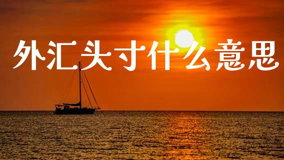 外汇头寸什么意思_https://cj006.lansai.wang_金融监管_第1张
