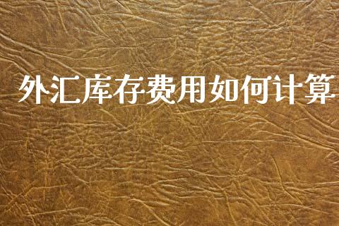 外汇库存费用如何计算_https://cj006.lansai.wang_金融监管_第1张
