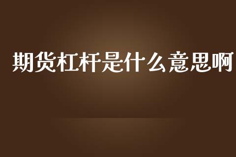 期货杠杆是什么意思啊_https://cj006.lansai.wang_全球市场_第1张