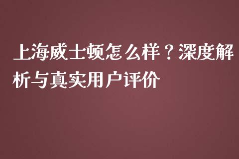 上海威士顿怎么样？深度解析与真实用户评价_https://cj006.lansai.wang_金融监管_第1张