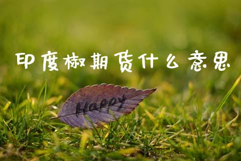 印度椒期货什么意思_财经新闻_第1张_期货开户_金融监管_外汇交易_债券资讯_全球市场_财经新闻 印度椒期货什么意思_https://cj006.lansai.wang_财经新闻_第1张