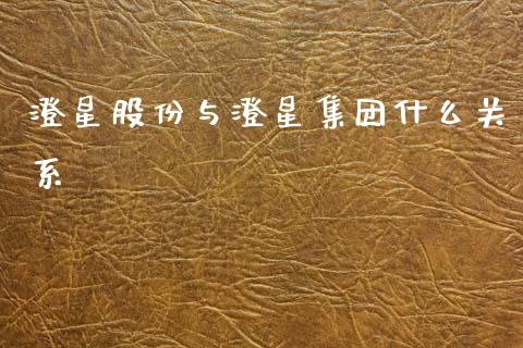 澄星股份与澄星集团什么关系_https://cj006.lansai.wang_期货开户_第1张