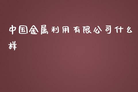 中国金属利用有限公司什么样_https://cj006.lansai.wang_金融监管_第1张
