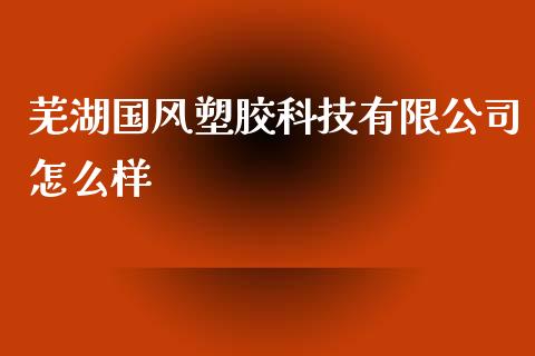 芜湖国风塑胶科技有限公司怎么样_https://cj006.lansai.wang_金融监管_第1张