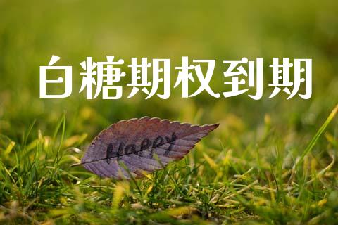 白糖期权到期_https://cj006.lansai.wang_期货开户_第1张