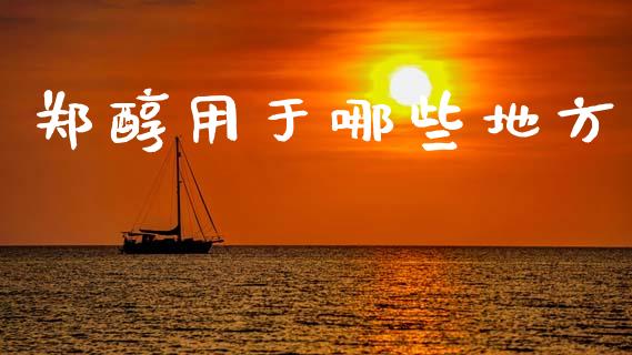 郑醇用于哪些地方_https://cj006.lansai.wang_全球市场_第1张
