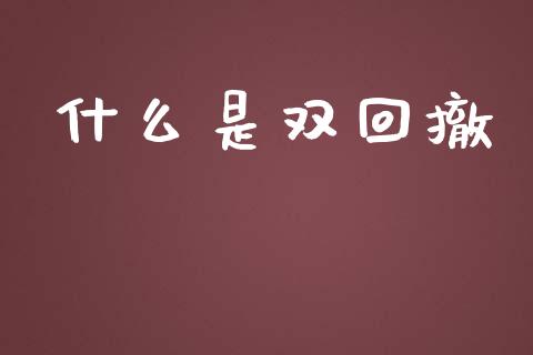 什么是双回撤_https://cj006.lansai.wang_财经新闻_第1张