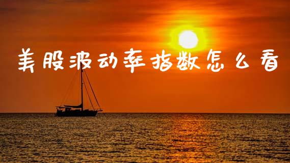 美股波动率指数怎么看_https://cj006.lansai.wang_期货开户_第1张