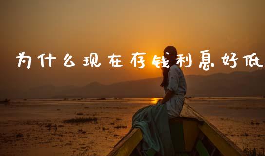 为什么现在存钱利息好低_https://cj006.lansai.wang_债券资讯_第1张