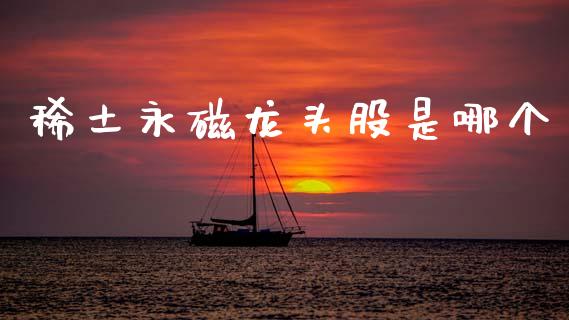 稀土永磁龙头股是哪个_https://cj006.lansai.wang_全球市场_第1张