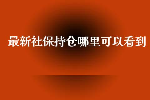 最新社保持仓哪里可以看到_https://cj006.lansai.wang_财经新闻_第1张