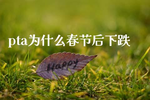 pta为什么春节后下跌_https://cj006.lansai.wang_期货开户_第1张