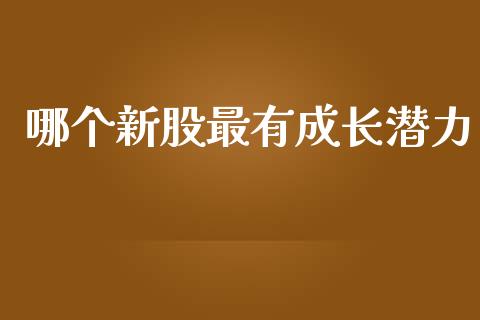 哪个新股最有成长潜力_https://cj006.lansai.wang_债券资讯_第1张