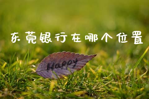 东莞银行在哪个位置_https://cj006.lansai.wang_金融监管_第1张