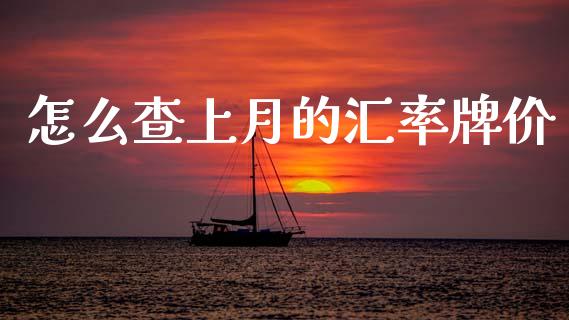 怎么查上月的汇率牌价_https://cj006.lansai.wang_外汇交易_第1张