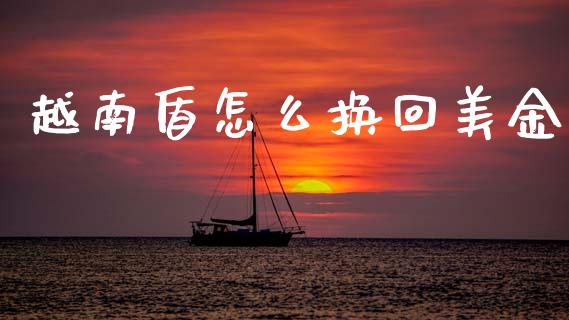越南盾怎么换回美金_https://cj006.lansai.wang_金融监管_第1张