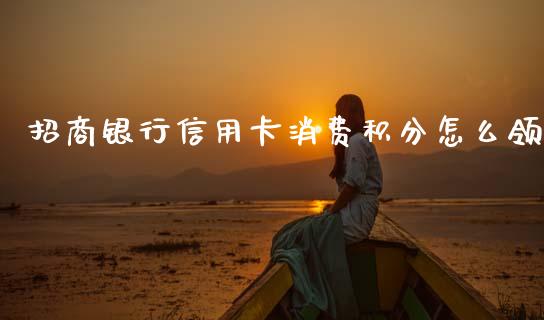 招商银行信用卡消费积分怎么领_https://cj006.lansai.wang_期货开户_第1张
