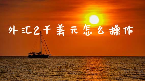 外汇2千美元怎么操作_https://cj006.lansai.wang_债券资讯_第1张
