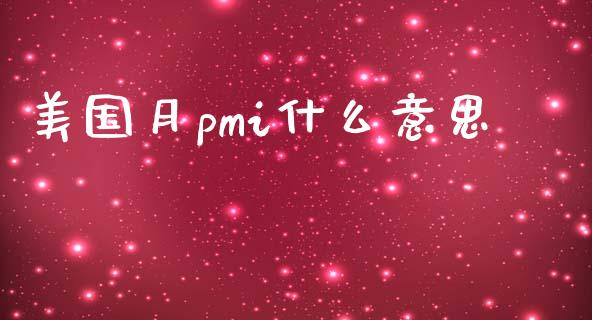 美国月pmi什么意思_https://cj006.lansai.wang_财经新闻_第1张