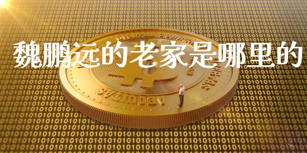 魏鹏远的老家是哪里的_https://cj006.lansai.wang_债券资讯_第1张