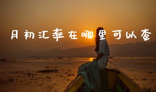 月初汇率在哪里可以查_https://cj006.lansai.wang_金融监管_第1张