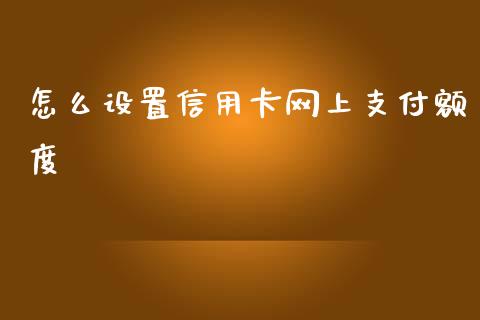 怎么设置信用卡网上支付额度_https://cj006.lansai.wang_金融监管_第1张