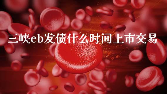 三峡eb发债什么时间上市交易_https://cj006.lansai.wang_金融监管_第1张