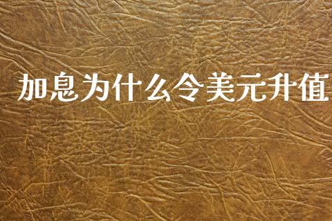 加息为什么令美元升值_https://cj006.lansai.wang_外汇交易_第1张