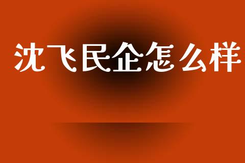 沈飞民企怎么样_https://cj006.lansai.wang_全球市场_第1张