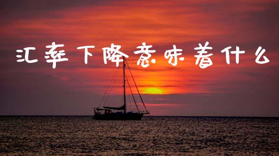 汇率下降意味着什么_https://cj006.lansai.wang_金融监管_第1张