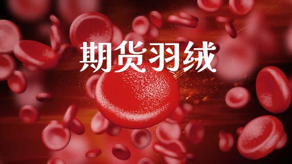 期货羽绒_https://cj006.lansai.wang_外汇交易_第1张