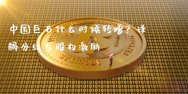 中国巨石什么时候转增？详解分红与股权激励_https://cj006.lansai.wang_财经新闻_第1张