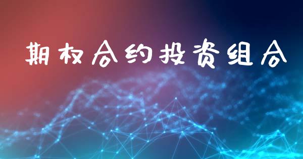 期权合约投资组合_https://cj006.lansai.wang_债券资讯_第1张