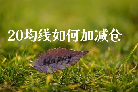 20均线如何加减仓_https://cj006.lansai.wang_金融监管_第1张