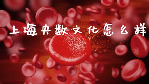 上海央数文化怎么样_https://cj006.lansai.wang_财经新闻_第1张