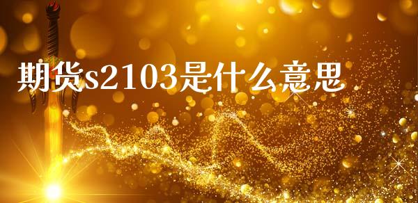 期货s2103是什么意思_https://cj006.lansai.wang_财经新闻_第1张