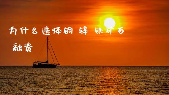 为什么选择铜 锌 铁矿石 融资_https://cj006.lansai.wang_债券资讯_第1张