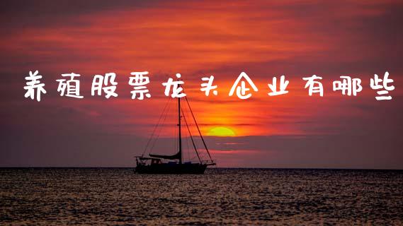 养殖股票龙头企业有哪些_https://cj006.lansai.wang_期货开户_第1张