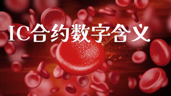 IC合约数字含义_https://cj006.lansai.wang_全球市场_第1张
