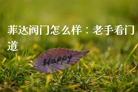 菲达阀门怎么样：老手看门道_https://cj006.lansai.wang_全球市场_第1张